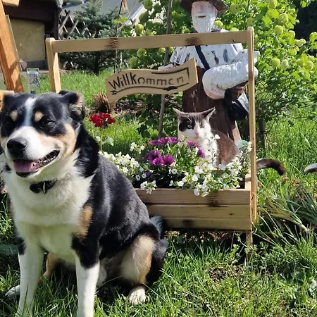 Glueck Auf Guest house